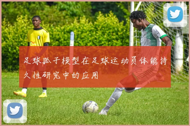 足球孤子模型在足球运动员体能持久性研究中的应用
