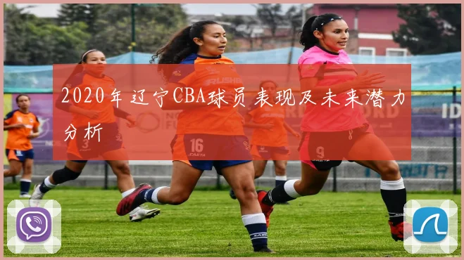 2020年辽宁CBA球员表现及未来潜力分析