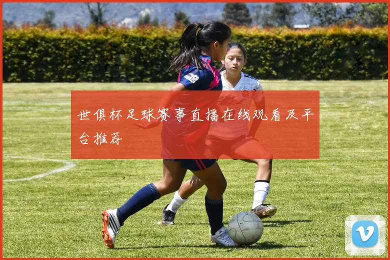 世俱杯足球赛事直播在线观看及平台推荐